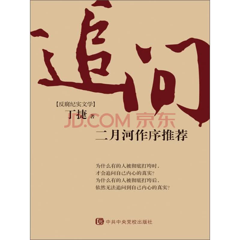《追问》(丁捷)电子书下载、在线阅读、内容简介、评论 – 京东电子书频道