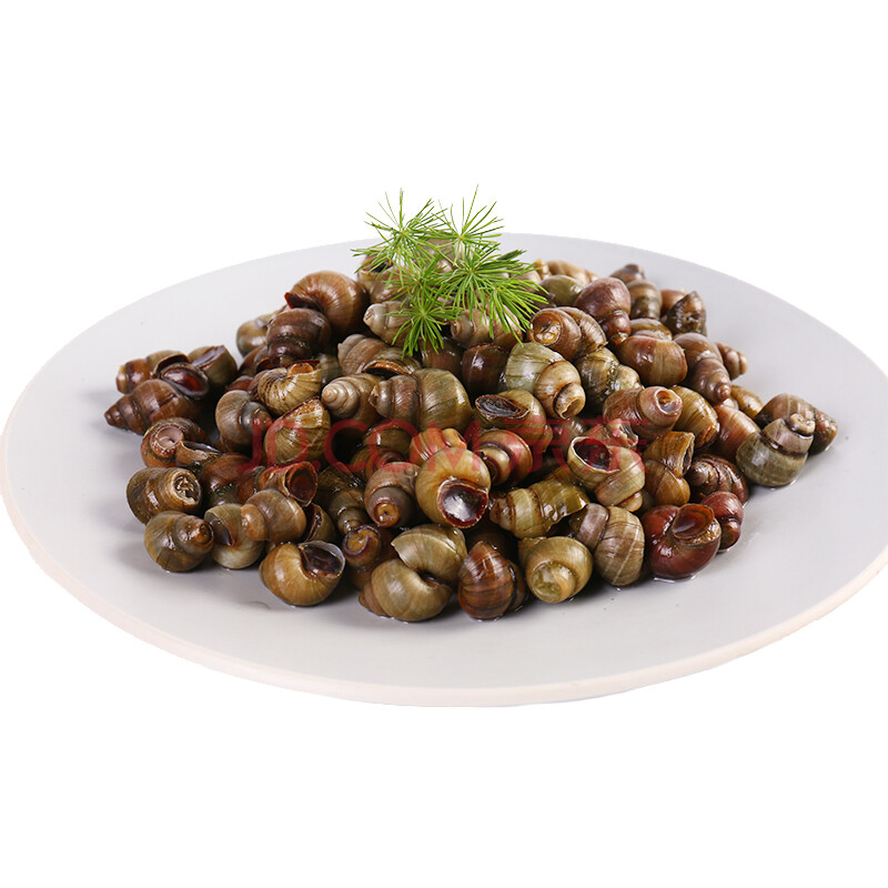 贝类 海鲜水产 生鲜 【活鲜】湖北洪湖清水田螺500g 【行情 价格 评价