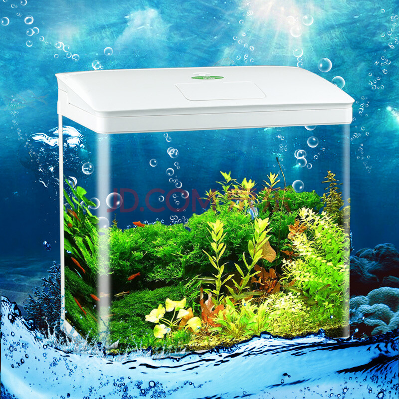 森森(sunsun) sea star eyckee 佳宝(jebo) 鱼麒麟 玩家宝贝 博宇(bo