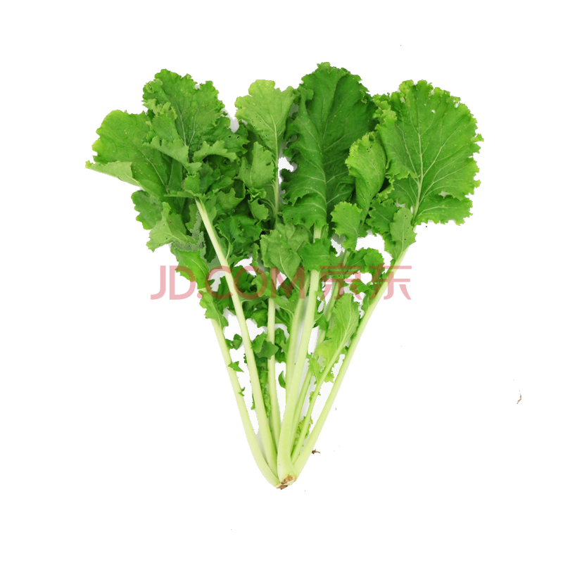 有机汇 有机苔菜 薹菜 新鲜蔬菜 绿叶蔬菜生鲜 500