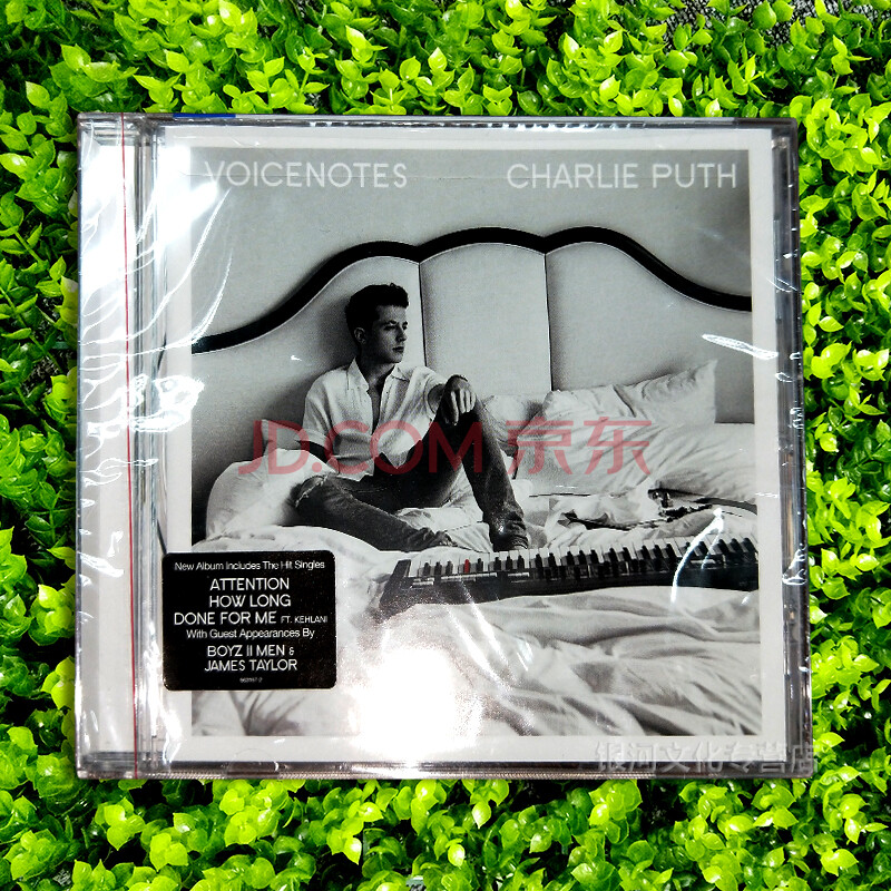 查理普斯第二张碟 charlie puth voicenotes cd 现货