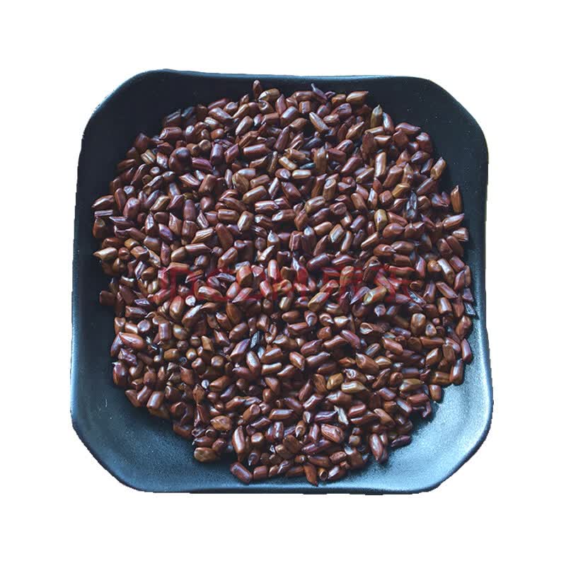 决明子 炒决明子熟决明子茶500g新货散装特级炒熟决明子泡茶
