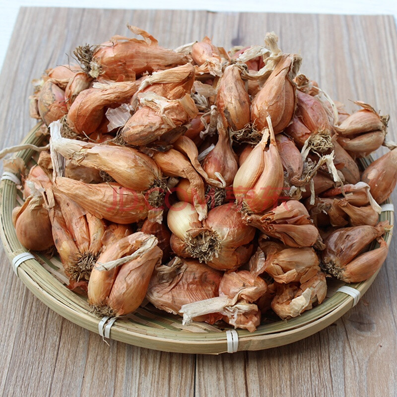 四季香葱葱头火葱头红葱葱种子干葱小香葱小葱阳台盆栽1斤 150g(再送