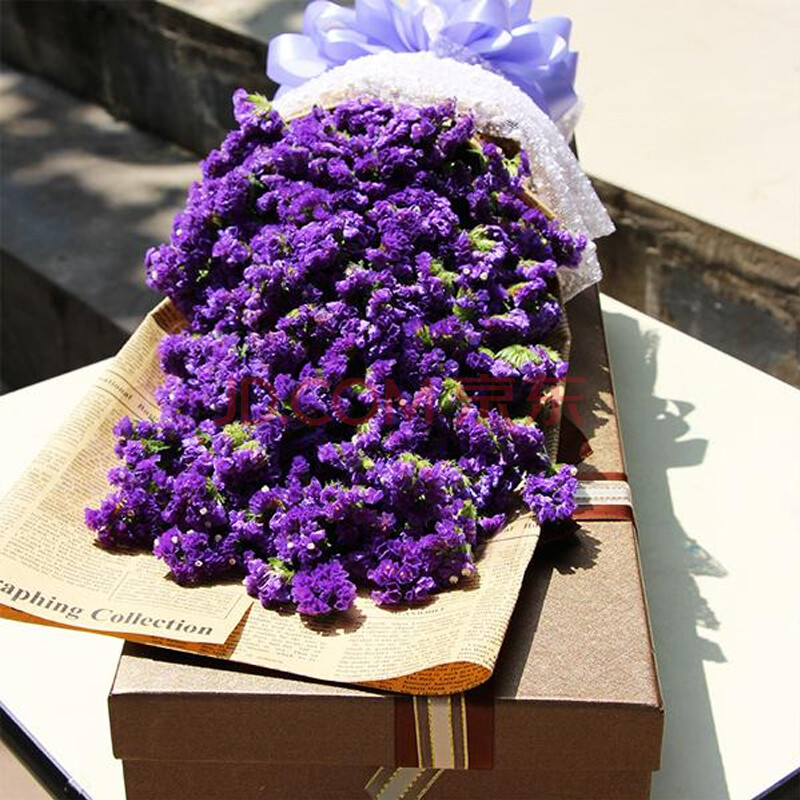 鲜花速递勿忘我花束礼盒送闺蜜女友朋友生日情人节礼物北京上海深圳