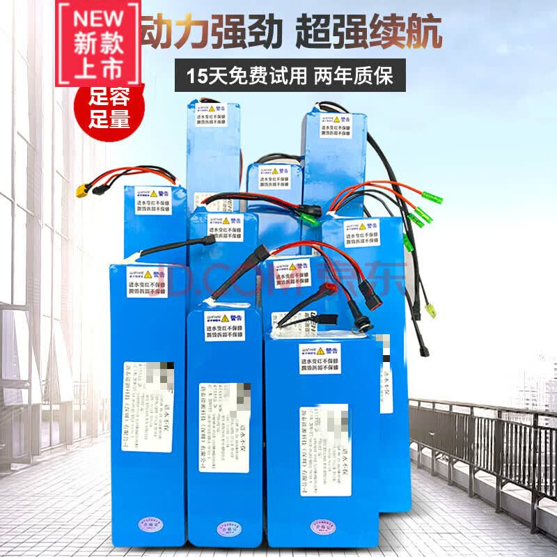 电动车锂电池48v电动自行车锂电池48v厂家直通用36v10ah12 喜德盛24v
