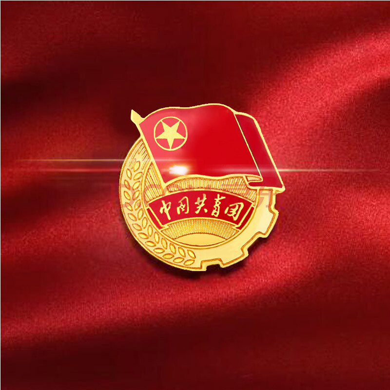 谋福l9522 团徽徽章 中国共青团 磁扣款 9个装