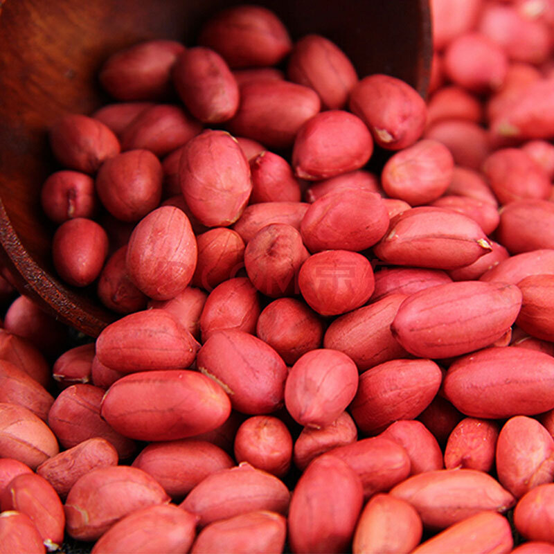 富昌 花生 红皮花生米 花生粒 凉拌菜杂粮粥料伴侣500g