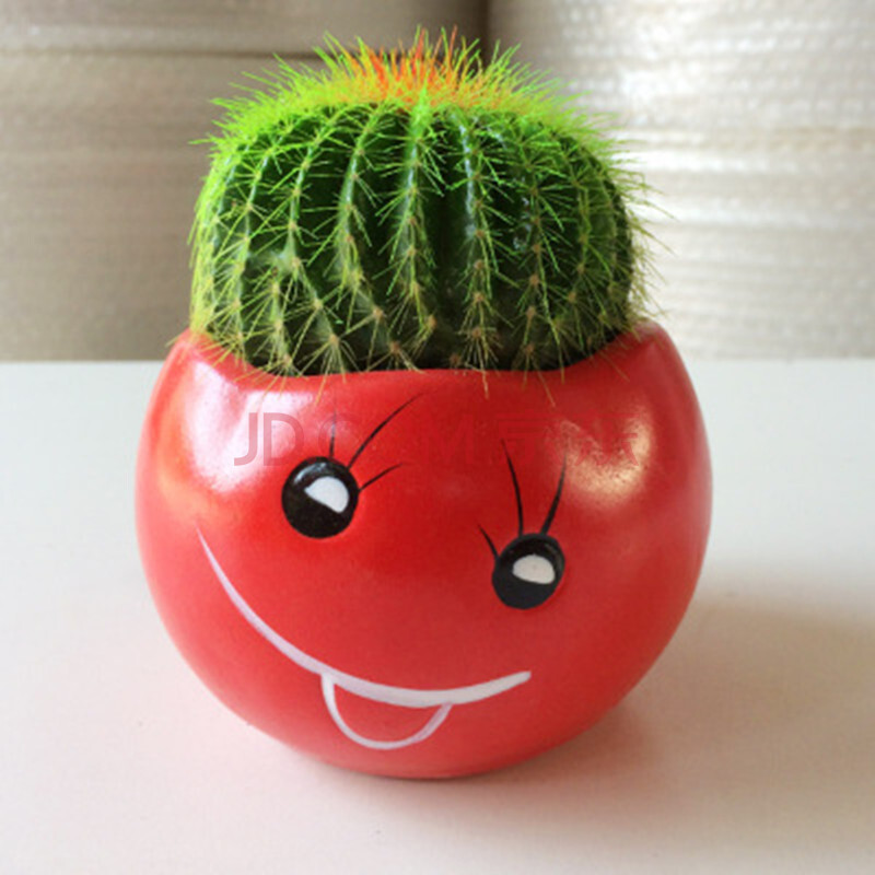 醉花春 仙人球 多肉植物盆栽花卉 仙人掌 办公室盆景小绿植 红笑脸