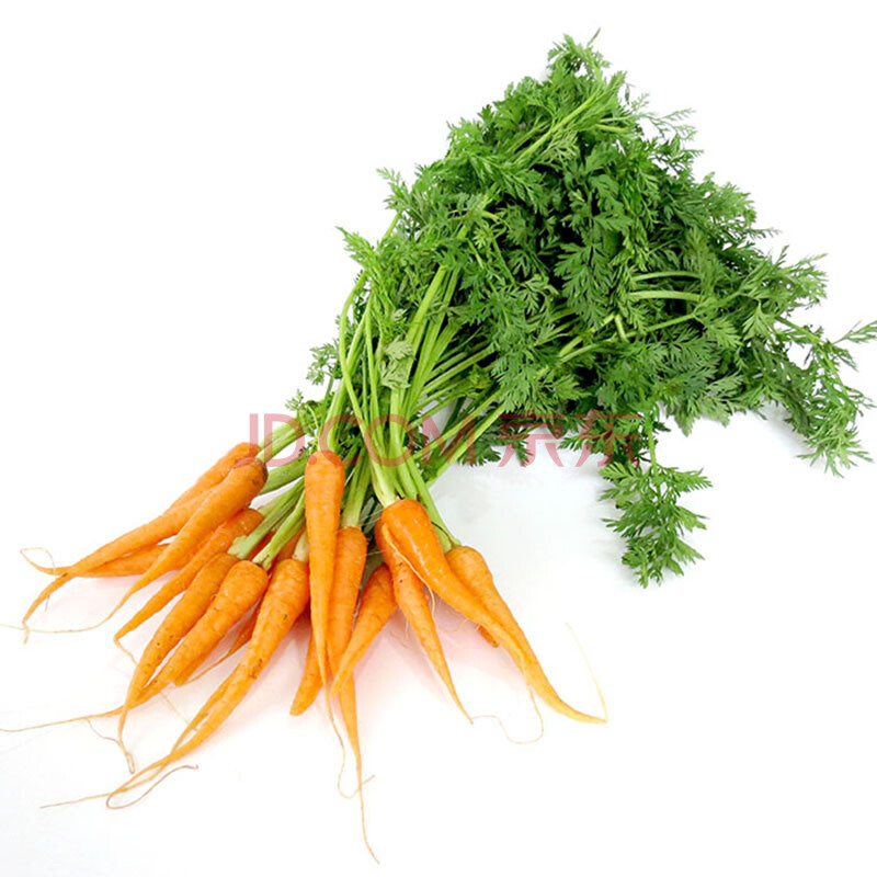 老一生鲜 西餐蔬菜 带叶小胡萝卜 手指萝卜 沙拉菜 500g