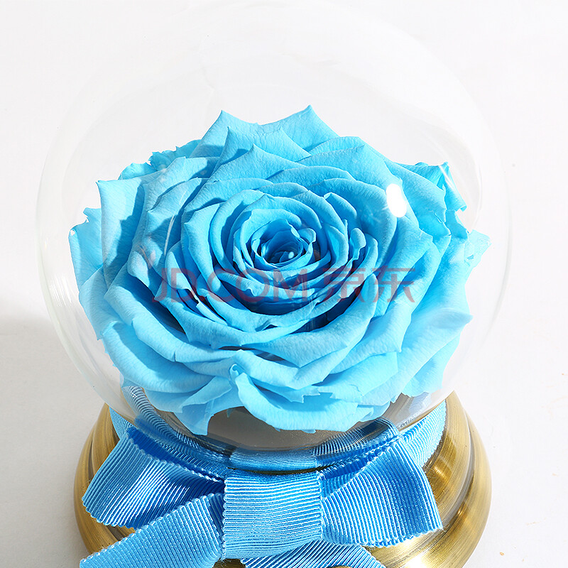 野兽派(the beast)天空 音乐水晶球巨型永生花玫瑰礼盒 保鲜花盒 玫瑰