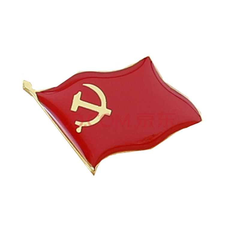 党徽 党徽胸章 别针 磁铁扣 党徽徽章 旗形无字 磁扣50个装