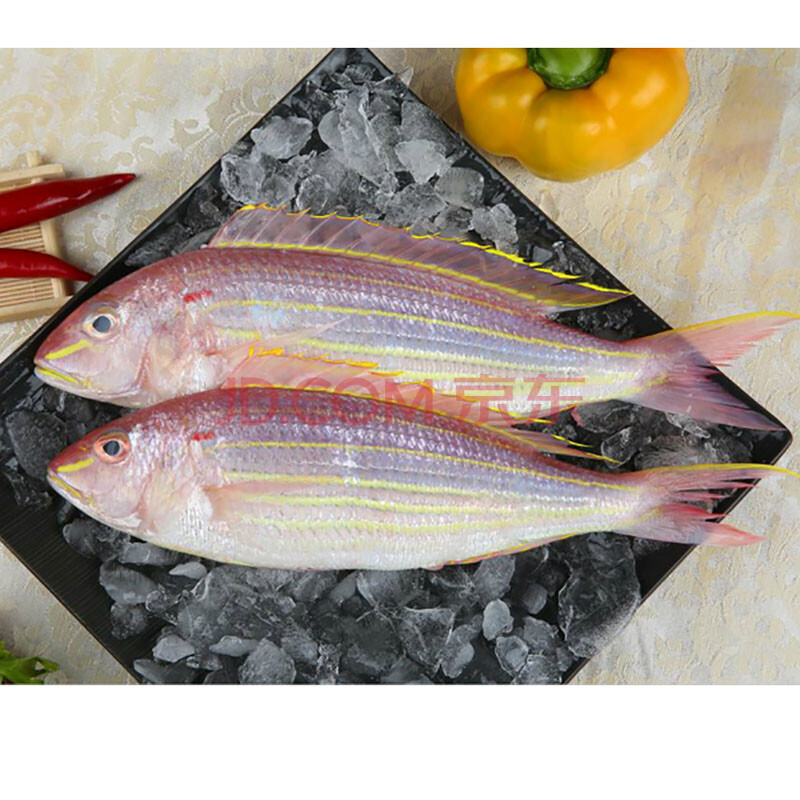 冰鲜 海南金线鱼 400-500g 1条 袋装 海鲜水产