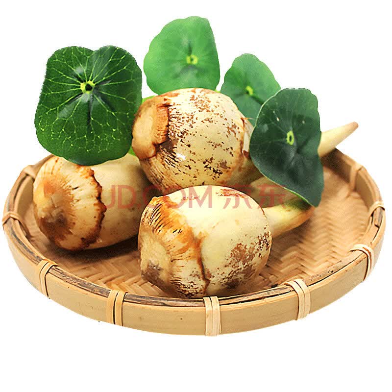 新鲜茨菇