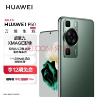 华为/HUAWEI P60 128GB 翡冷翠 鸿蒙曲面屏 智能旗舰手机