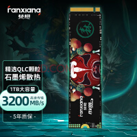 梵想（FANXIANG）1TB SSD固态硬盘 M.2接口
