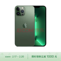 Apple iPhone 13 Pro Max (A2644) 256GB 苍岭绿色 支持移动联通电信5G 双卡双待手机