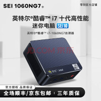 零刻 SEi 10 1060NG7 酷睿i7十代办公电脑微型主机 4核8线程 Intel 办公电脑 16G+0G（无硬盘系统）