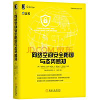 网络空间安全防御与态势感知 网络空间安全技术丛书