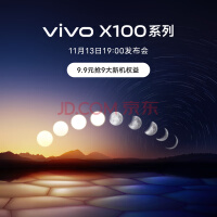 vivo X100 手机 12GB+256GB 影像科技旗舰 11月13日19:00北京水立方发布会 满分巨献 敬请期待