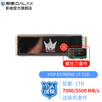 影驰 （Galaxy）HOF名人堂 SSD固态硬盘 M.2接口(NVMe协议) PCI-E4.0硬盘 HOF EX 1T SSD