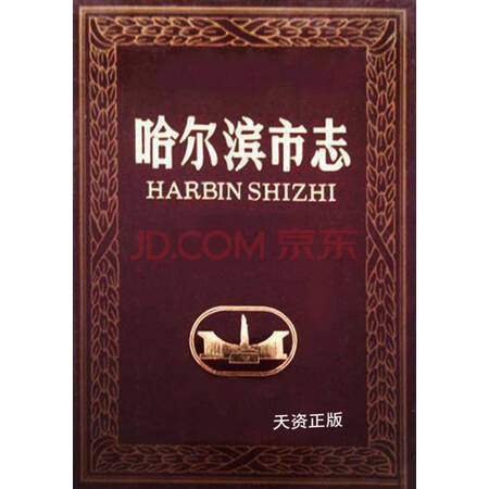 【二手9成新】哈尔滨市志第 22 环境保护 技术监督 岳玉泉主编;哈尔滨