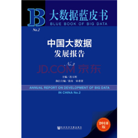 二手99新大數據藍皮書中國大數據發展報告no29787520127202連玉明張濤