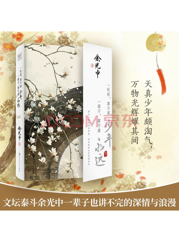 文坛泰斗余光中先生精选散文集：一眨眼算不算少年，一辈子算不算永远