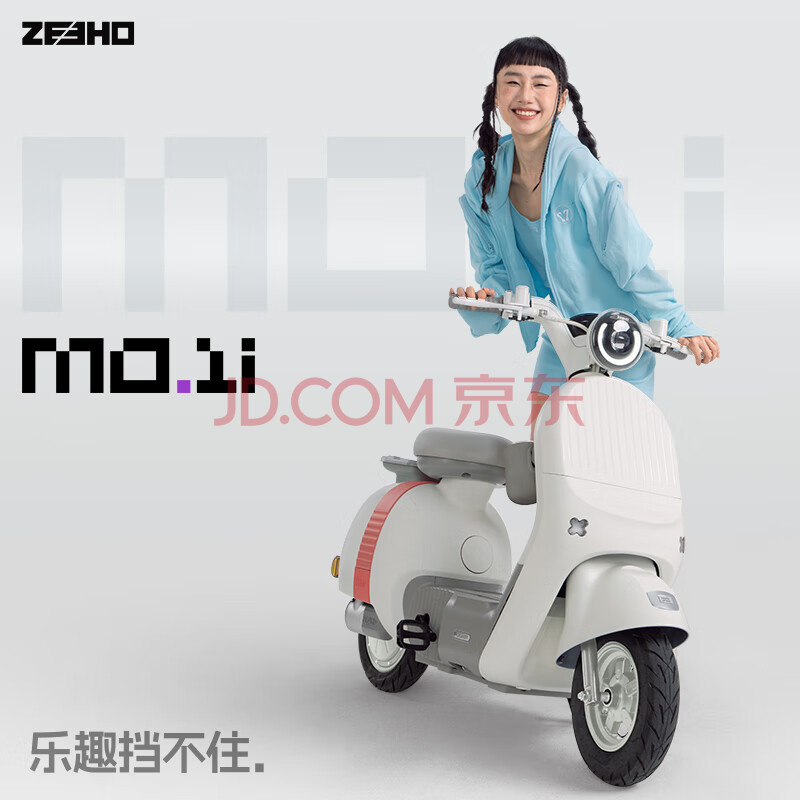  綯гMOϵ MO1i 48v12ah2299Ԫ