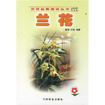 兰花