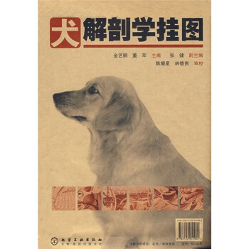 農業/林業 動物醫學 犬解剖學掛圖