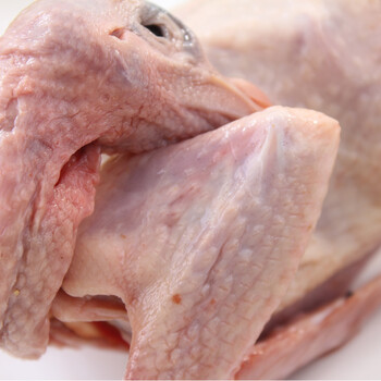 正大天地 苏北草鸽300g 仅限上海市区(崇明三岛,金山除外)