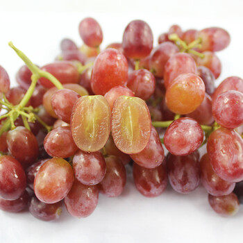 新鲜水果 进口南非无籽红提 葡萄 提子 1kg/箱