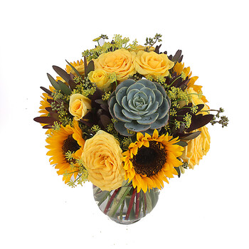 "亲亲宝贝一 the boy"祝福鲜花 北京同城配送