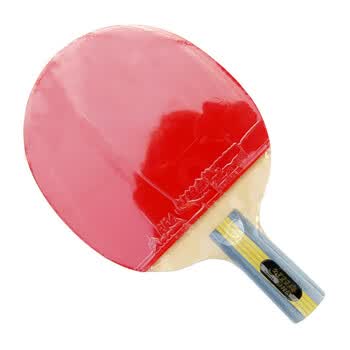 红双喜四星乒乓球拍直拍双面反胶乒乓拍 s-406