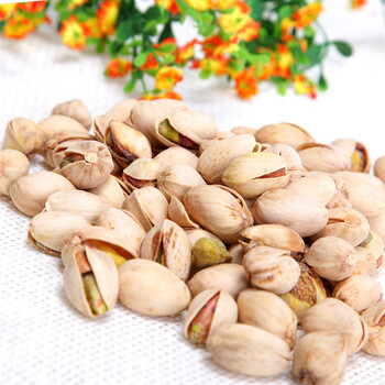 加州原野加州开心果408g