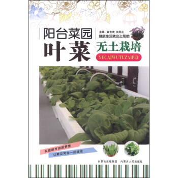 阳台菜园：叶菜无土栽培