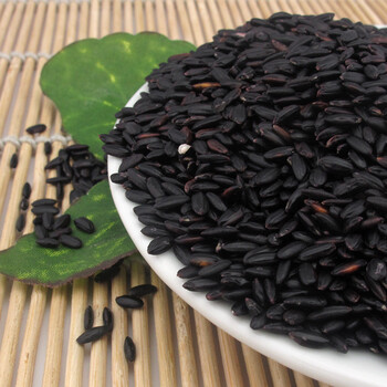 远山农业 东北五常黑米 500g 黑大米 黑米粥 补血养生五谷杂粮 新货