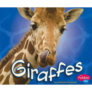 【预订】giraffes