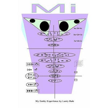 Mi: My Mi Entity Experience kindle格式下载