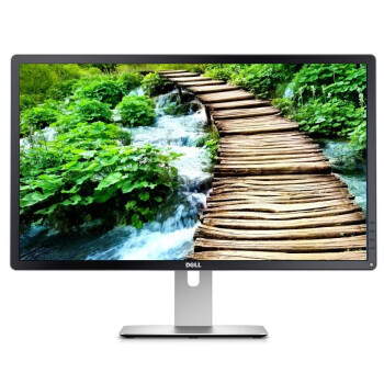 戴尔（DELL） 专业级P2815Q 28英寸16:9宽屏 LED背光4K液晶显示器