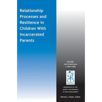 Relationship Processes And Resilience In Chi...