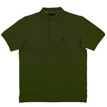 圣大保罗专柜正品t恤纯棉商务休闲短袖polo衫ps11kt301 深绿色p5 170