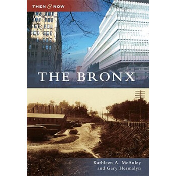 【】The Bronx