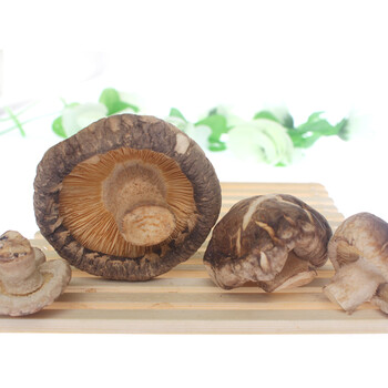 天马 四川青川土特产青川椴木花菇200克*2袋