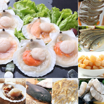 棒棰岛 海八鲜冻品礼包a款 八款海鲜