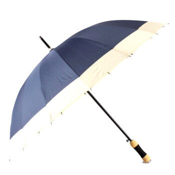 
                                        【京东超市】美度 晴雨两用自动开16骨长柄防风功能雨伞 M5001蓝色                