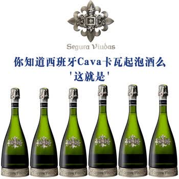 西班牙cava维达斯卡瓦型干型起泡酒葡萄酒配香槟酒杯2个维达斯古堡