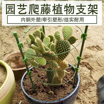 沃傲麒园艺爬藤架蔷薇月季支柱铁线莲牵牛花卉植物花盆固定支架花支架