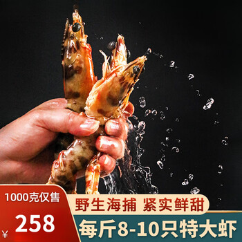 嗑嗑龙九节虾特超大新鲜竹节虾海捕鲜活速冻海虾斑节虾1kg海鲜1000g