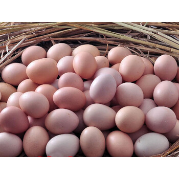 农家杂粮鸡蛋新鲜40枚土鸡蛋草鸡蛋笨鸡蛋可生吃整箱1500g